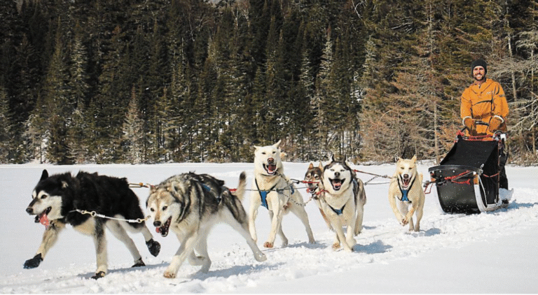 Ouest France – Musher Canada